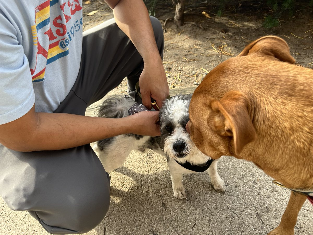 Today Donut met a dog named Duncan.