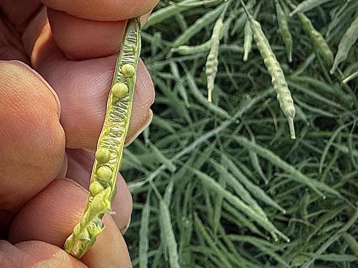 Nicole Baxter tweet media