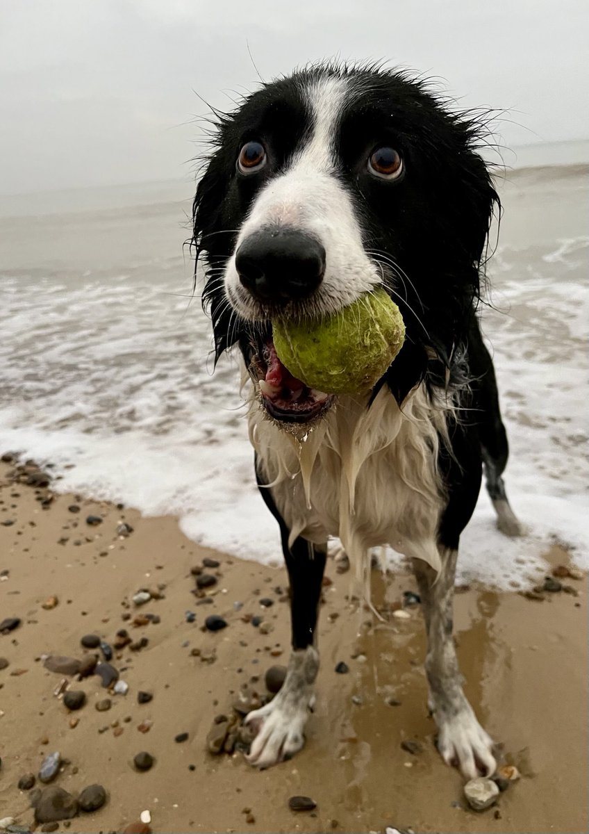 Bit of swimming today - love it in Suffolk 😎