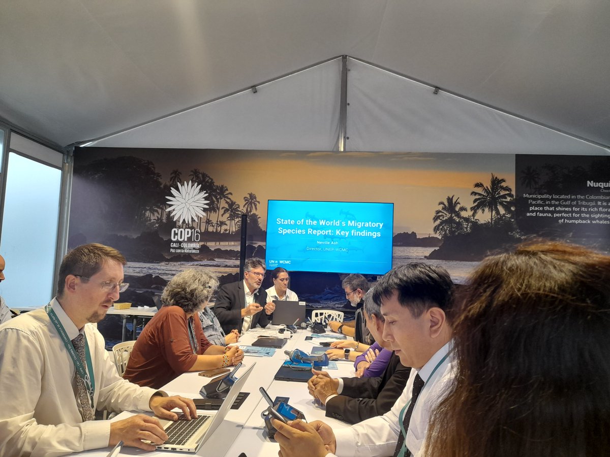 Dr. Alice C Hughes (@alicechughes) on Twitter photo At the #CBDCOP16 discussing the <a href="/BonnConvention/">Convention on Migratory Species (CMS)</a> some really important biodiversity conventions with a huge amiunt of synergy At the #CBDCOP16 discussing the <a href="/BonnConvention/">Convention on Migratory Species (CMS)</a> some really important biodiversity conventions with a huge amiunt of synergy