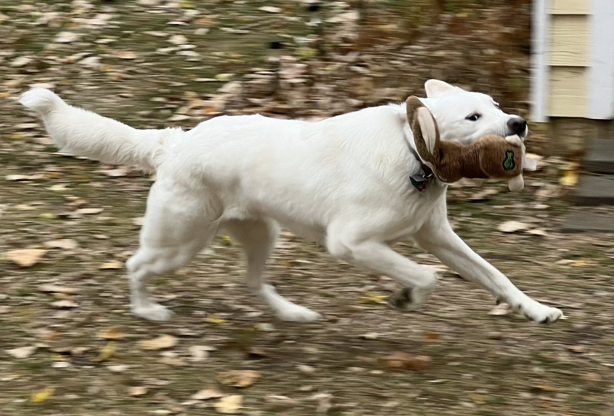 Andrew Krueger tweet media