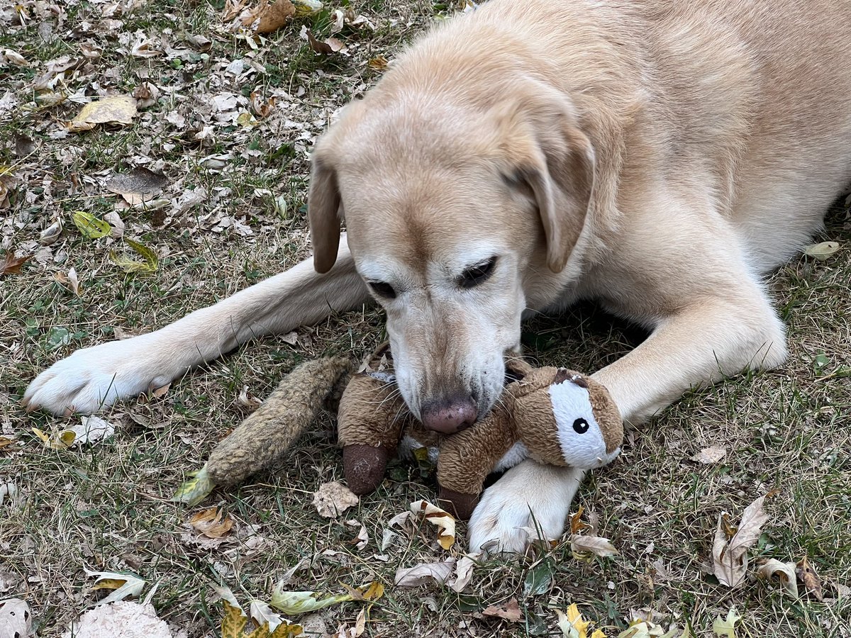 Andrew Krueger tweet media