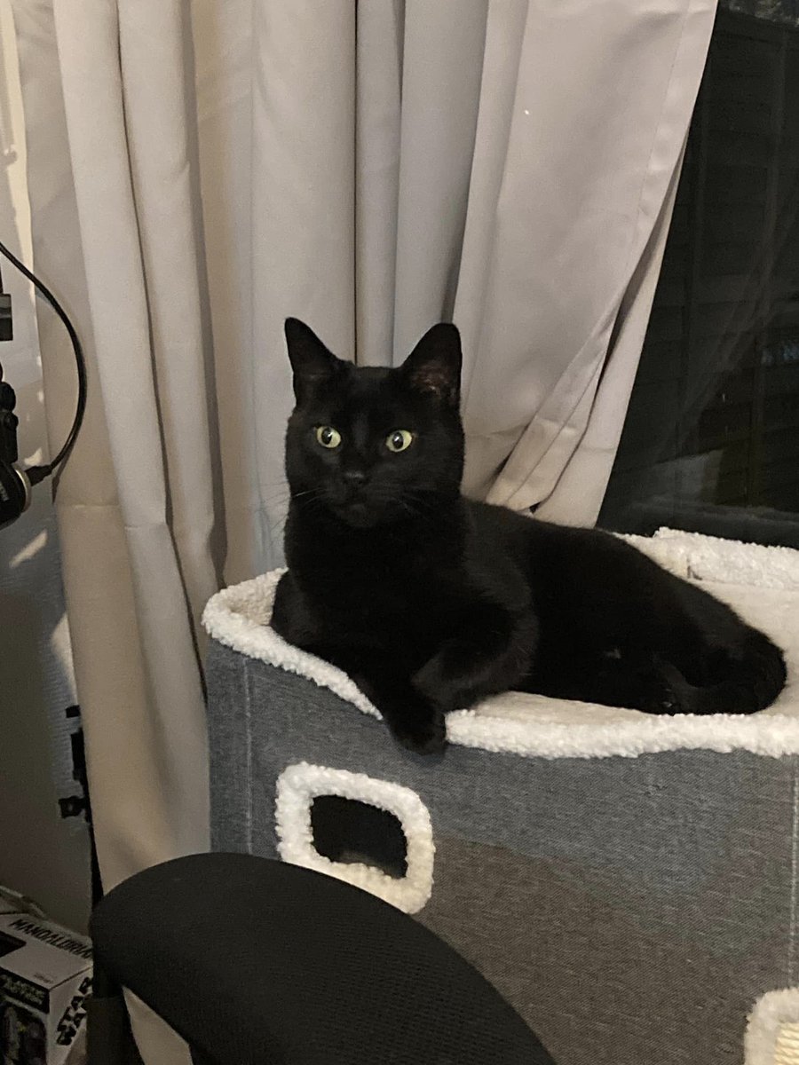 DemiLWrites's tweet image. The face of a lady who is utterly shocked her Granddad has the audacity to leave for work (who on EARTH will fuss her now?)