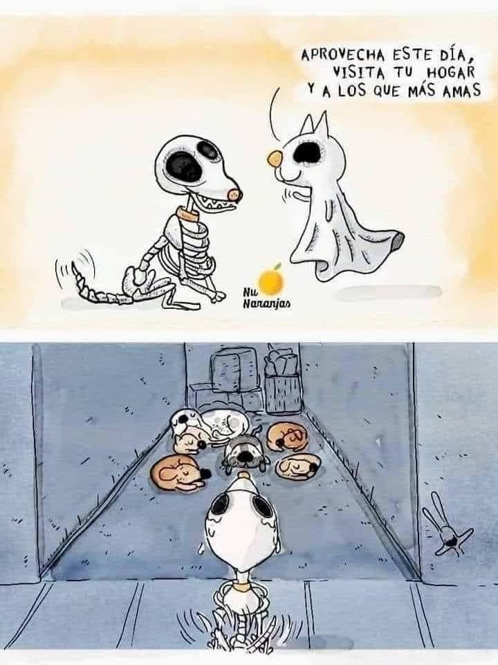 Frose_Bunny's tweet photo. #DiaDeMuertosMascotas #diademuertos https://t.co/q83LRCn8TE