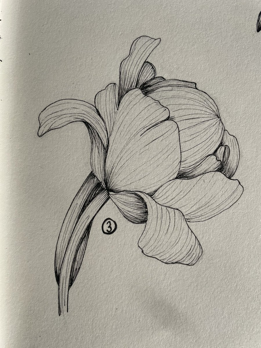Good to see it took literally one day to fuck up my posting everyday streak 😭
I had a drawing to post too I just forgot to post it ;-; I’m kinda a lil dumb sometimes