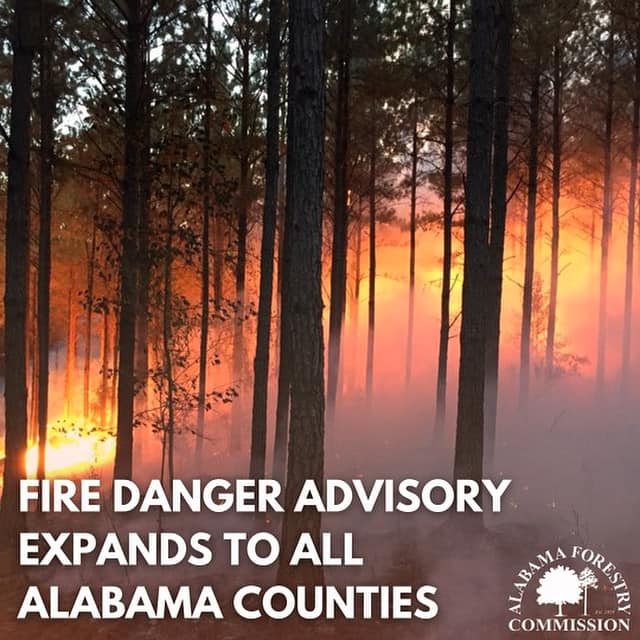 ALForestryComm's tweet image. Read more: forestry.alabama.gov/Pages/News/202…