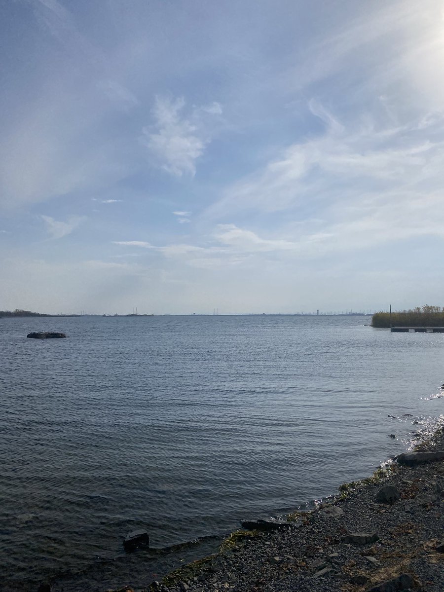 Jacci Dorran Holowath tweet media