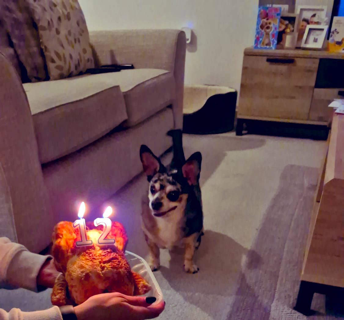 Lisa Kirk (nee Gibson) tweet media