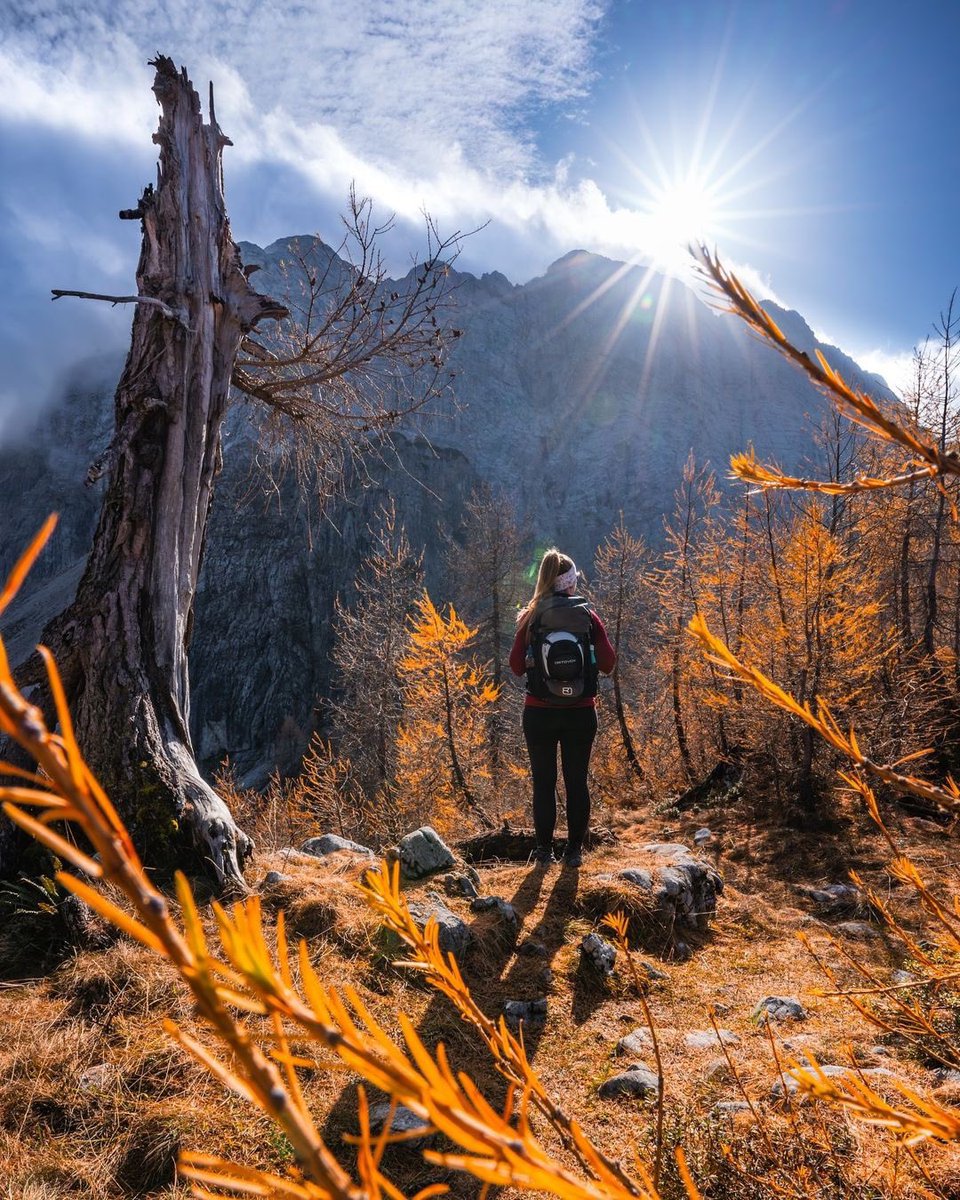 ExploringSlo's tweet photo. Photo by 📸 @martsxhle.pix 
The always gorgeous Vršič Pass and its larches 🍂 https://t.co/GmZX3ZttCM