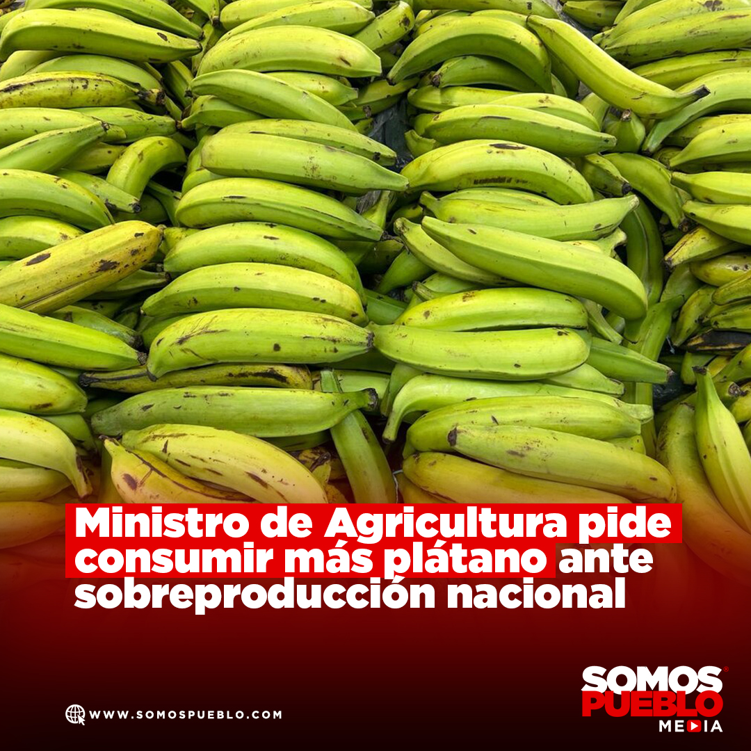 RDSomosPueblo's tweet image. El ministro de Agricultura, Limber Cruz, hizo un llamado a la ciudadanía para incrementar el consumo de plátano debido a una significativa sobreproducción que se registra actualmente en el país. En declaraciones recientes, Cruz informó que la producción de esta musácea ha pasado…