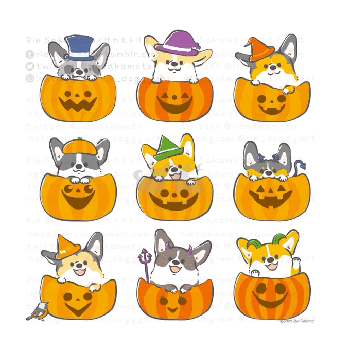 ハッピーハロウィンTrick or Treatお菓子くれないとイタズラするよ、のコーギーたち#Halloween  #HappyHalloween  #ハロウィン 
