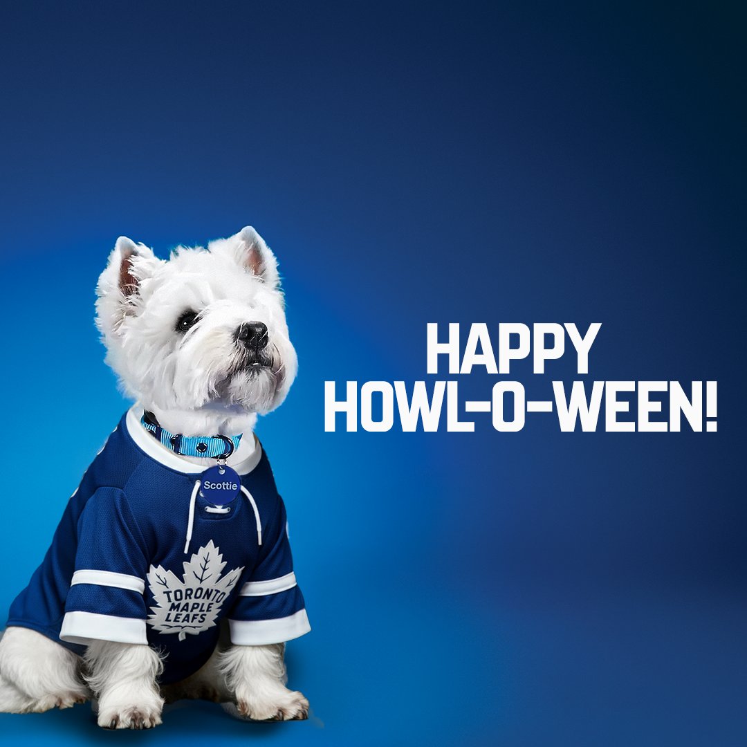 Toronto Maple Leafs tweet media