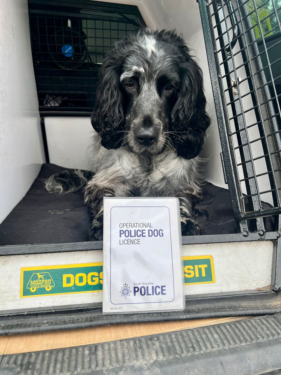 East Mids Fire Dog tweet media