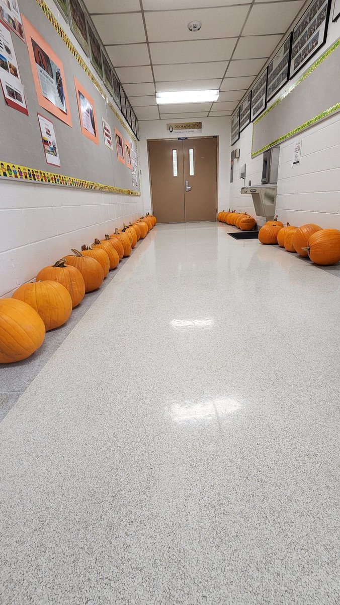 St Andrew School tweet media