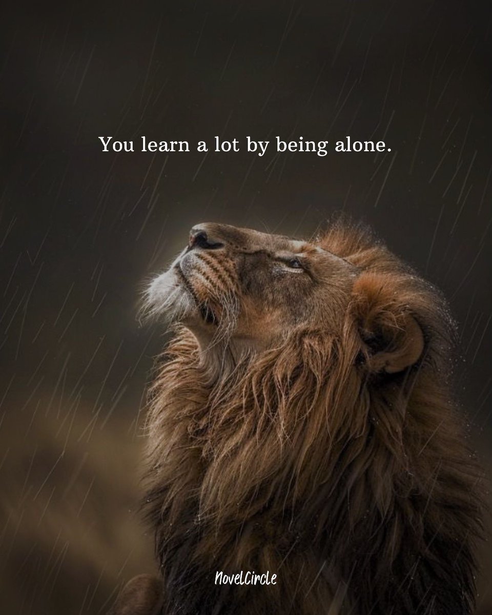 Mind_Essentials's tweet image. 