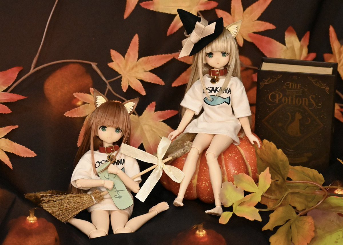 「HAPPY HALLOWEEN#うちのねこが女の子でかわいい 」|40原のイラスト