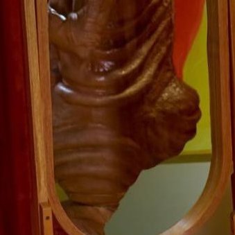 derek guy tweet media