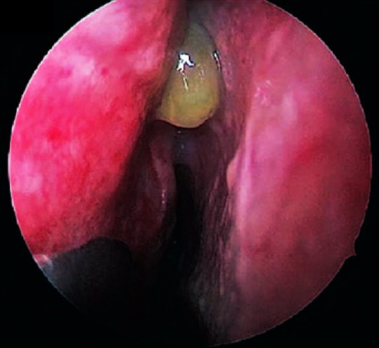 د.عبدالعزيز القحطاني tweet media