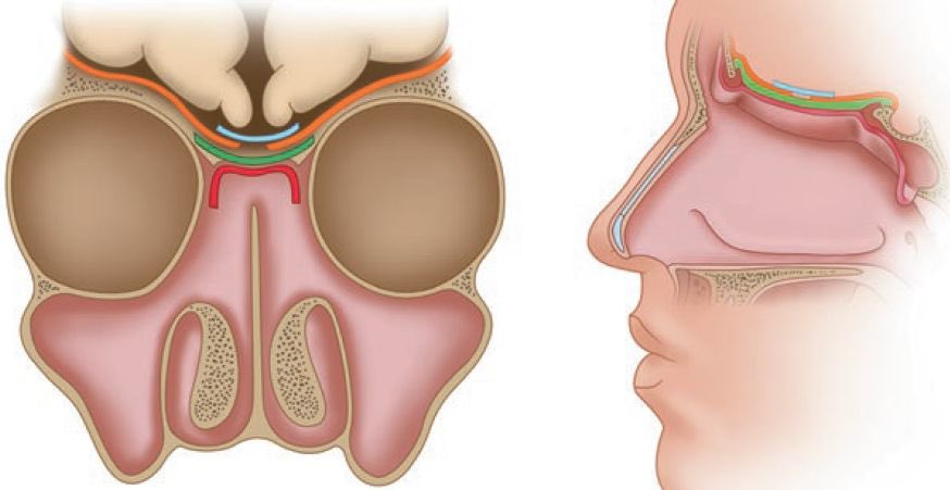د.عبدالعزيز القحطاني tweet media