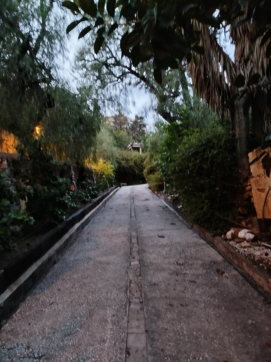 Teresa Aguilar Sánchez tweet media