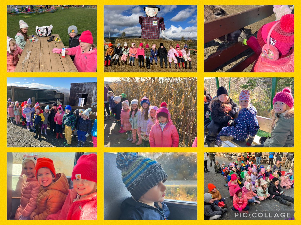 Dbroderick tweet media