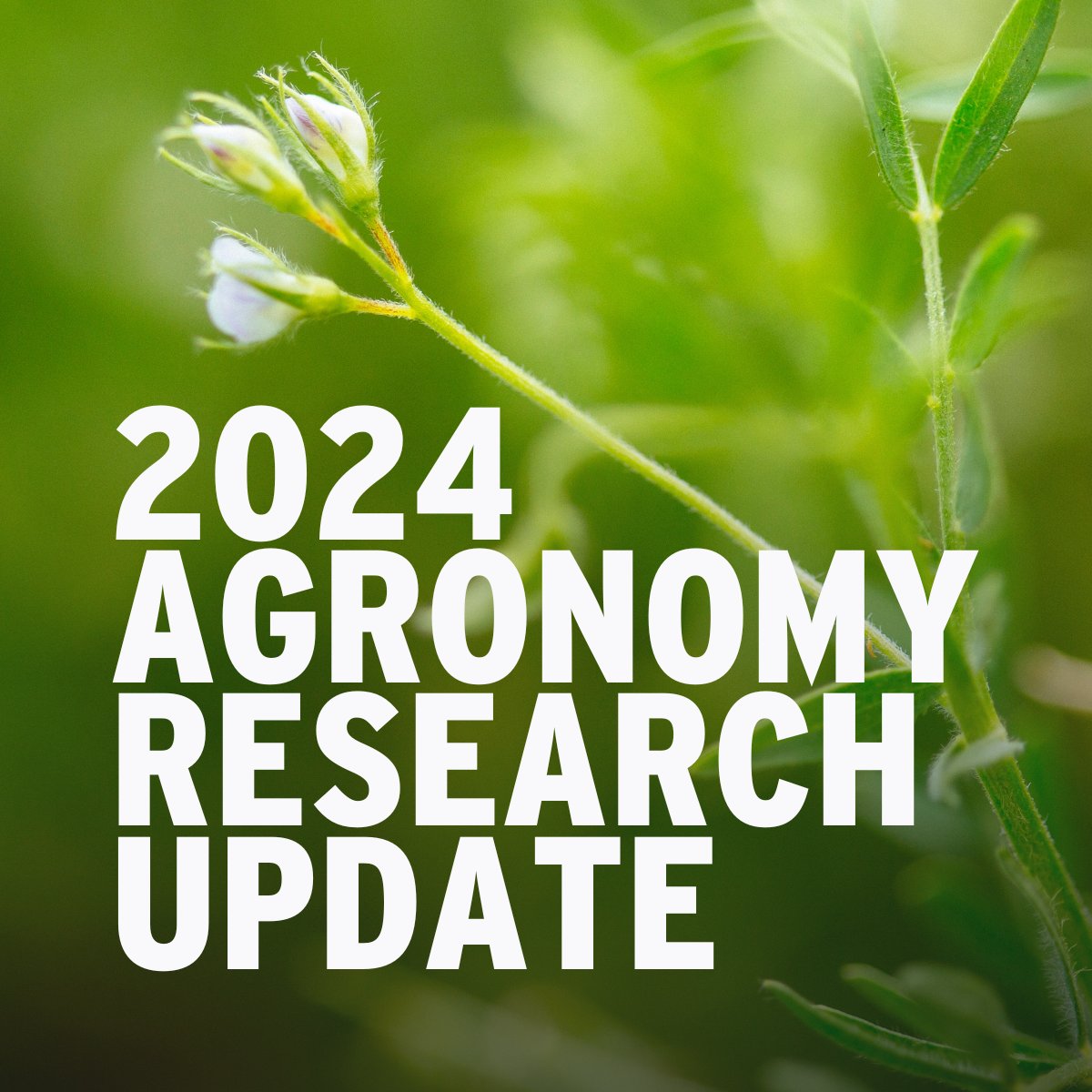 Registration is now open for the 2024 Agronomy Research Update. Learn about what happened during the 2024 growing season and the potential impact in 2025, as well as the latest research impacting agriculture in the province. Register now: ow.ly/mvJh50TN6Z7