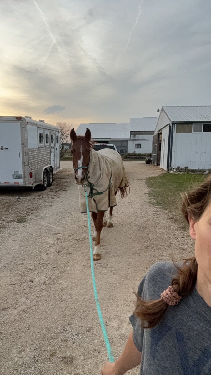 morning chores somehow it’s 70 degrees and almost november