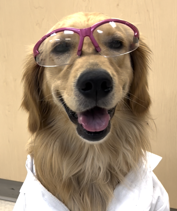 Bunsen, Beaker, Bernoulli & Brix tweet media