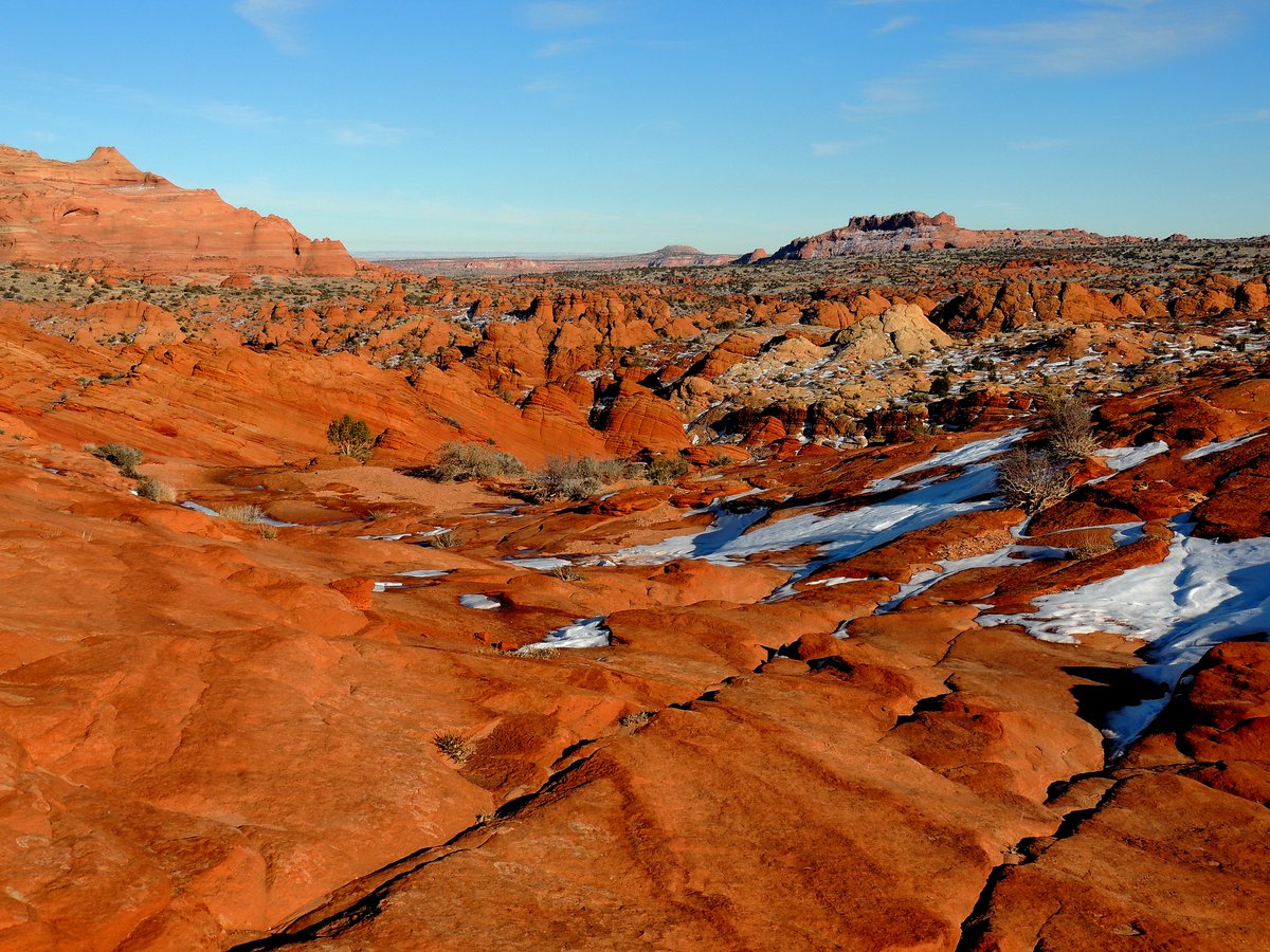 “The leaves are changing; I feel poetry in the air.” 
—Laura Jaworski
📸: Ross Kantra

Happy #WordsWednesday! How do you feel about autumn?
