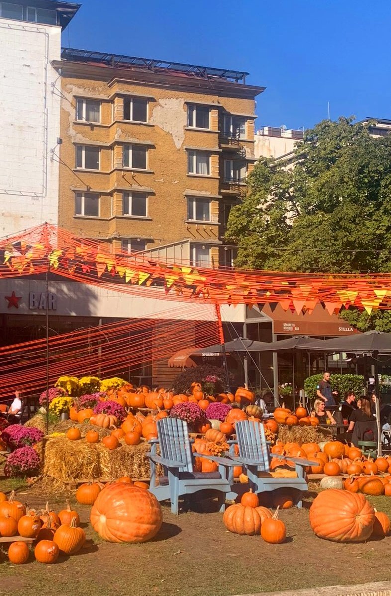 viennaoffices's tweet photo. Getting ready... #HalloWien 🎃
#ViennaOffices #Sofia #Europa #Dialog https://t.co/2DMKHvC4AZ