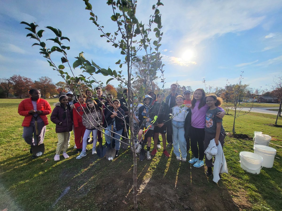 Students at Zoller Elementary expanded their apple orchard and Maple Sugarbush today! They also got to press and taste real apple cider. Many thanks to the volunteers who showed up to help us.#FarmtoSchool #Schoolorchards #Schoolgardens #Schenectadyrising