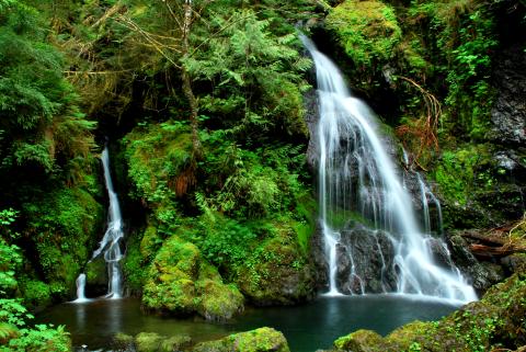 The future of water: a new tool helps show the relationship between climate, plants, and water - research.fs.usda.gov/pnw/news/featu….