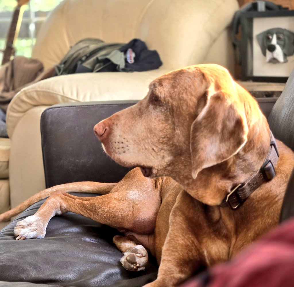 #KanetheDane tweet media