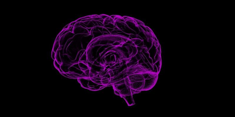 USC Viterbi School (@uscviterbi) on Twitter photo A major collaborative research project between USC Viterbi School of Engineering and <a href="/KECKSchool_USC/">Keck School of Medicine of USC</a> is the quest to rebuild hippocampus and make episodic memory loss a thing of the past, with the help of implantable brain prostheses and a powerful predictive mathematical model. A major collaborative research project between USC Viterbi School of Engineering and <a href="/KECKSchool_USC/">Keck School of Medicine of USC</a> is the quest to rebuild hippocampus and make episodic memory loss a thing of the past, with the help of implantable brain prostheses and a powerful predictive mathematical model.
