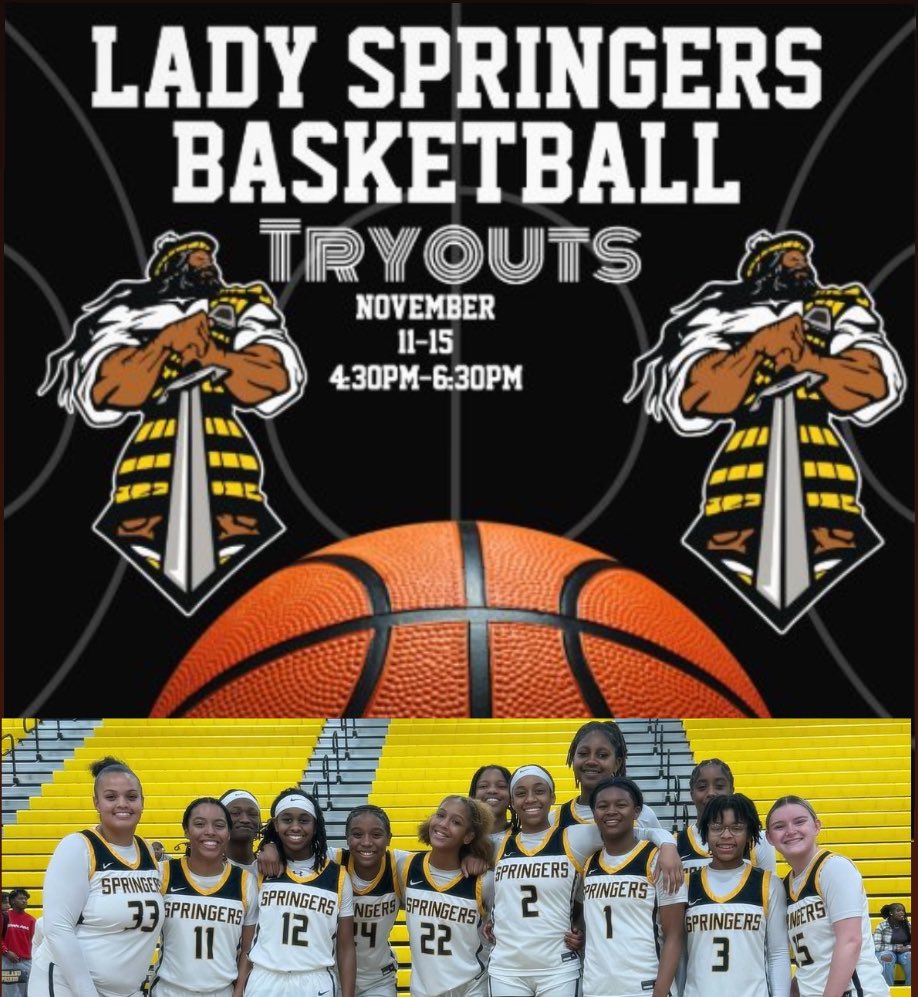 HSHS Lady Springers tweet media
