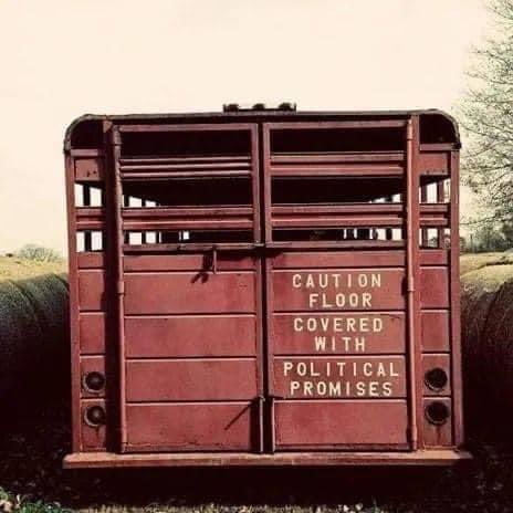 TrueTexasBAM's tweet image. Doesn’t matter what side of the political aisle you’re on, you know this is true.

#Agriculture #MAHA #Food #Beef #Pork #Poultry #Corn #Wheat #Farming #Ranching 
#Agricultura #AgriculturaCubana #AgriculteursEnColère #Landbrug
#Landbouw