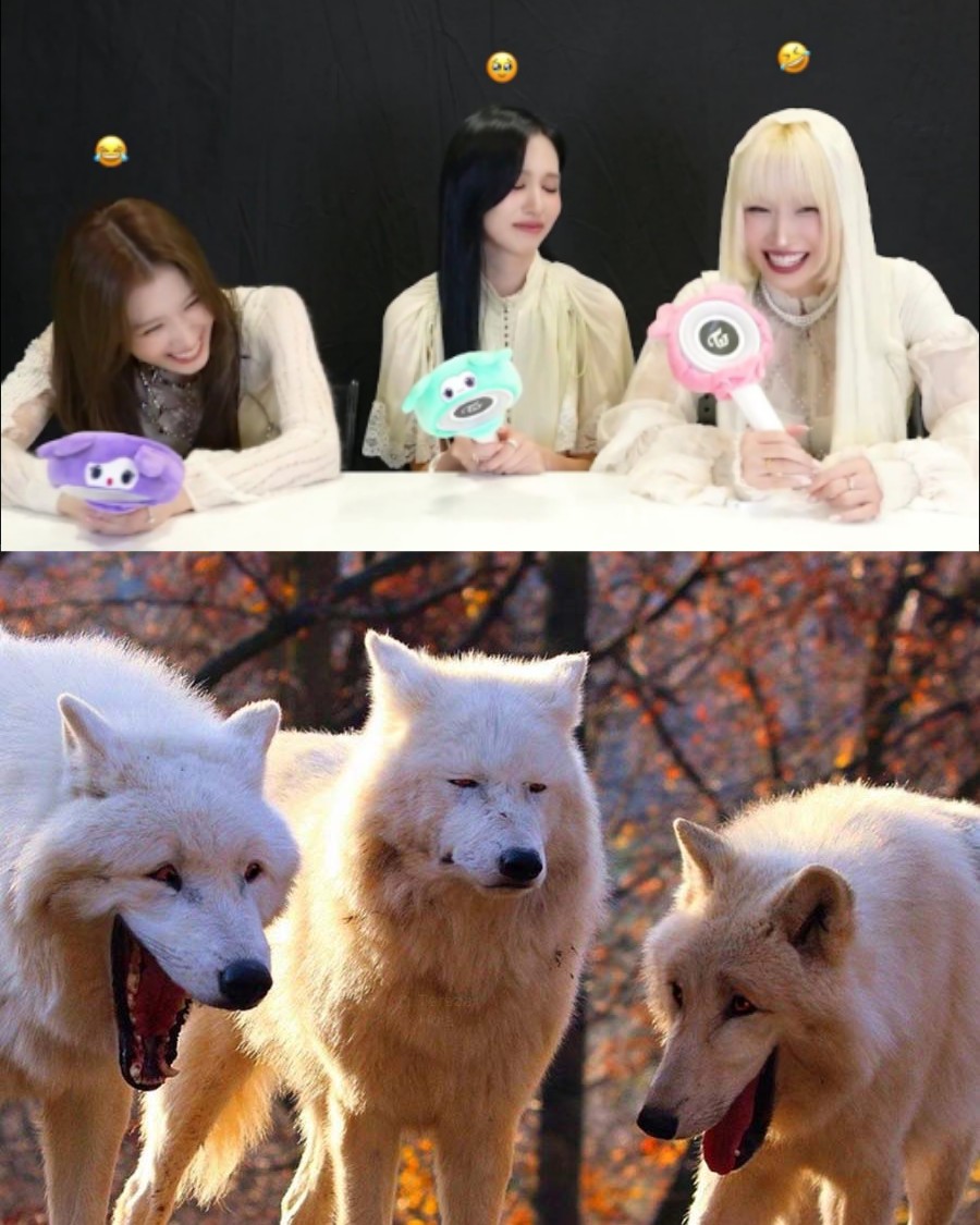Mina's struggles with Sana and Momo 😭😭