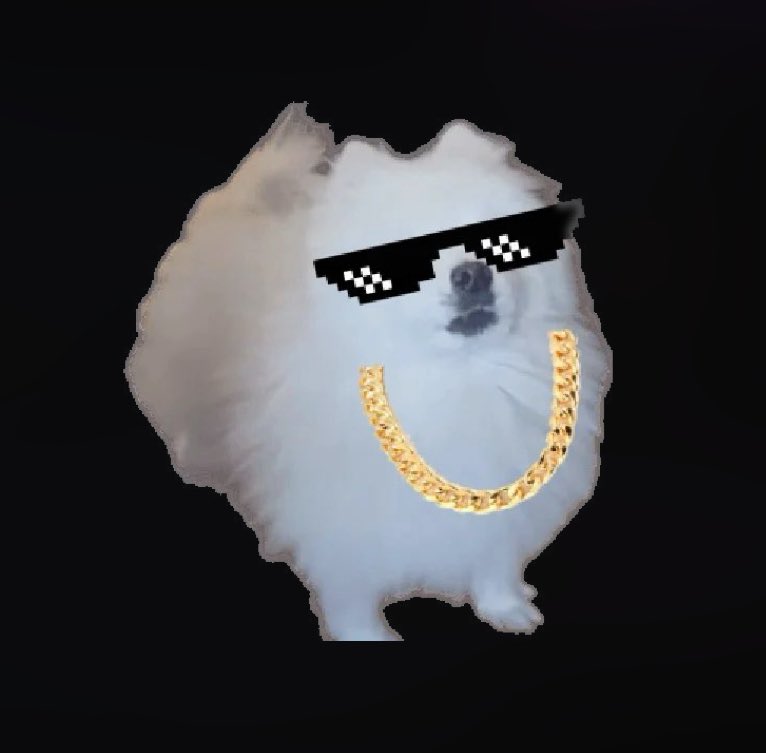 BorkSOL's tweet photo. Bork if you got that dog in you https://t.co/OUHCxyrj4a