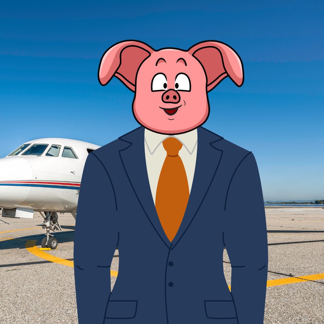 Bout to steal this jet. Who says pigs can’t fly!!

$Oolong #sei #memecoin