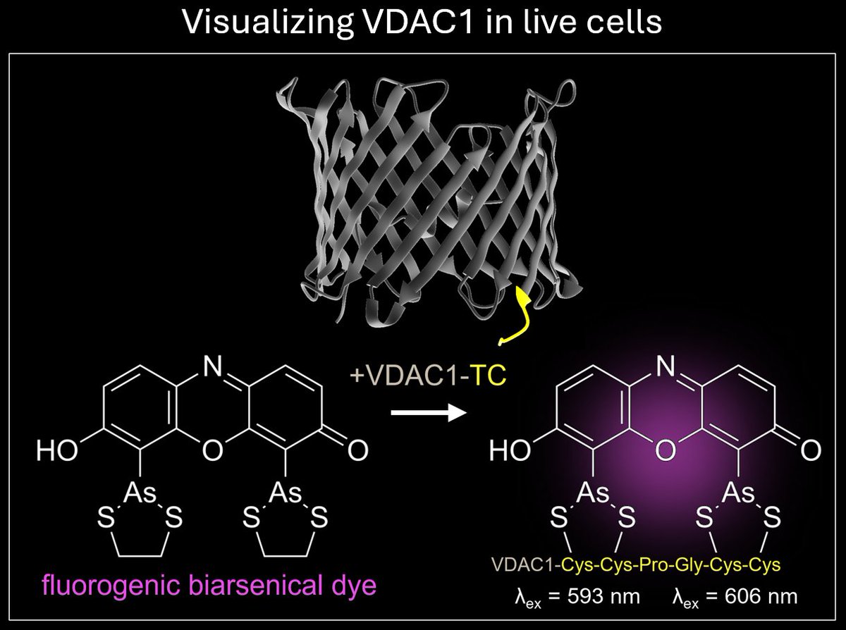 Johannes Pilic tweet media