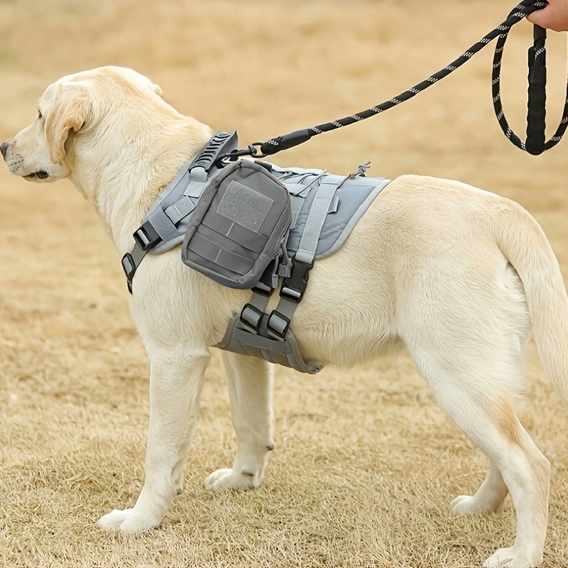 sniffsnag's tweet photo. Use a padded-handle leash and a well-fitted harness for comfy, secure walks. Happy pup, happy walks!  

https://t.co/LTvCb0U6So
https://t.co/KRPHSJsfpr

#SafeAndComfy #WalkTime #PaddedHandle #harness #PetSafety #DogParents #HappyDog  #PetComfort #DogLovers #PetGear #Dogs #dogmom https://t.co/se7wH1CEoN