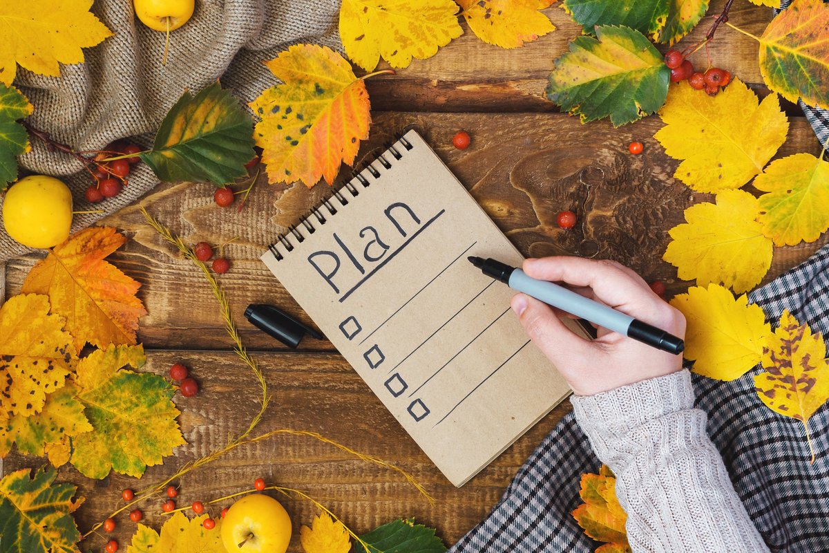 Nutrition_gov's tweet photo. Thanksgiving meal planning can be overwhelming. Find resources to ensure the holiday is stress free by sticking to a budget with these thrifty holiday recipes.  https://t.co/N6SvA77T91
 #HealthyHolidays #Thanksgiving2024 https://t.co/An7f73fJFk