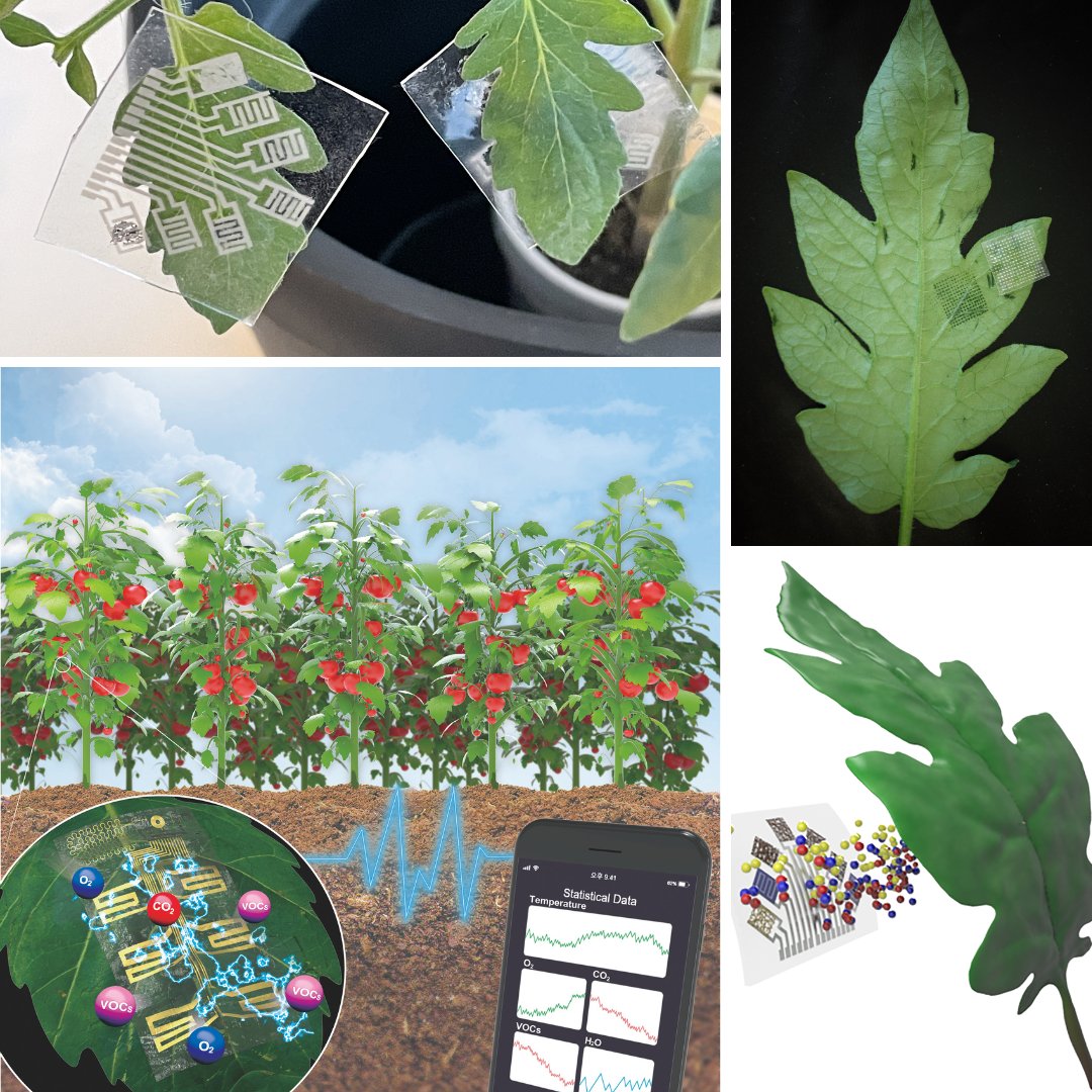 The FarmBits Podcast tweet media