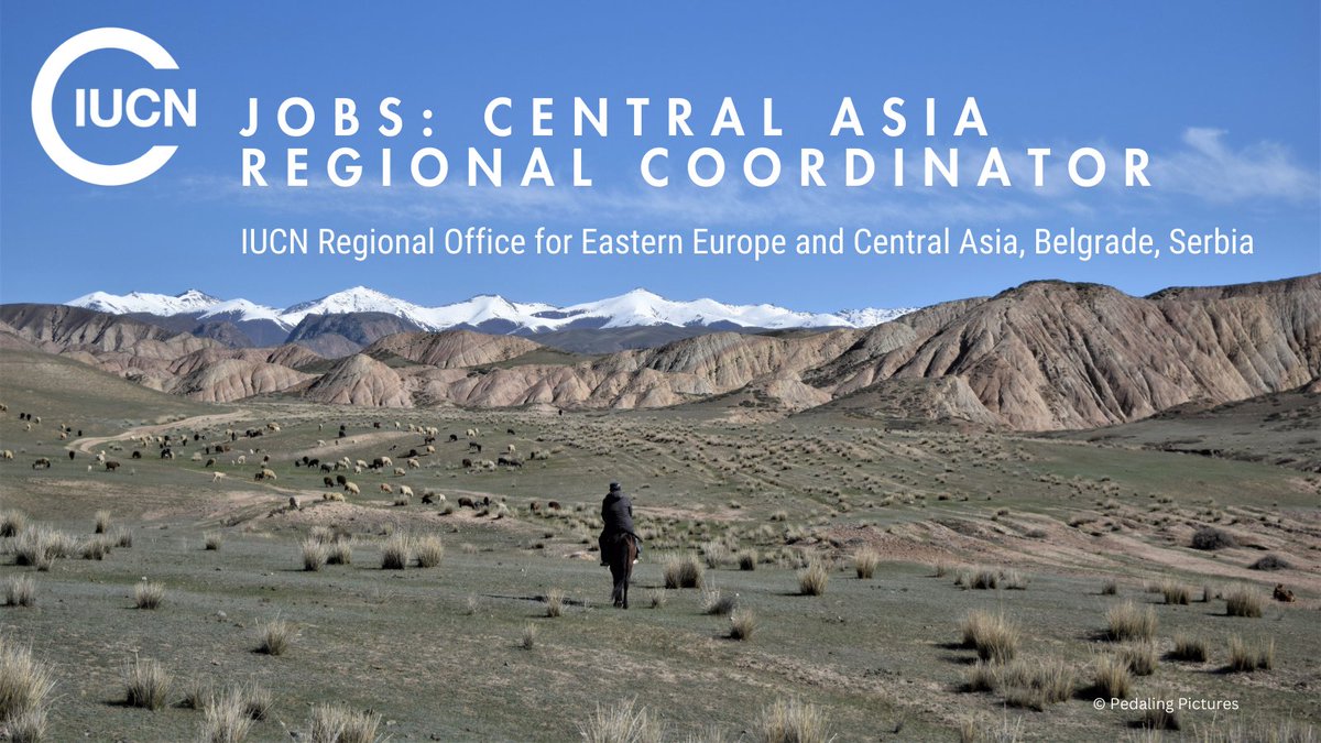 IUCN_ECARO's tweet photo. #JobOpening!  

We’re hiring a Central Asia Regional Coordinator! 🌿   

Join us to drive conservation efforts across #CentralAsia, lead our new office in Tashkent, 🇺🇿  focusing on the project and partnership development!  

📅 Application Deadline: 24 November 2024

Apply here 🔗https://t.co/AhqhPIBWmI
