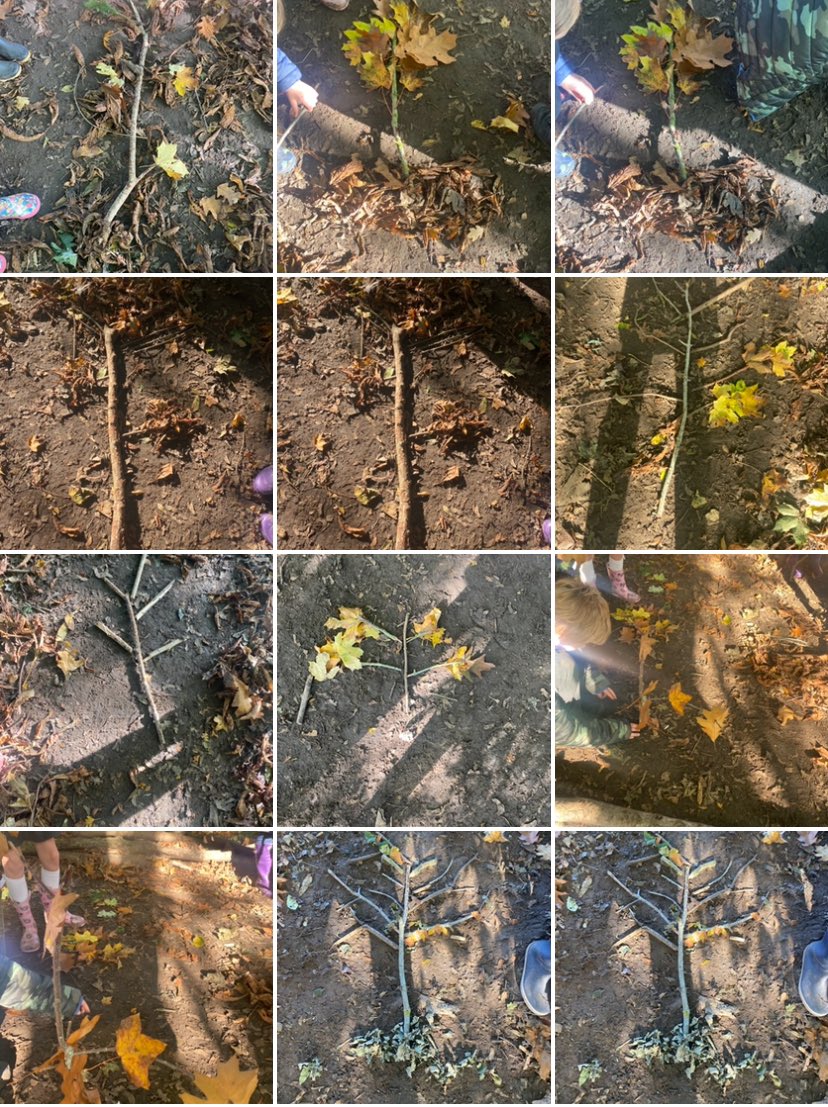 louiseseeley's tweet image. @GlenfallSchool @ForestSchool #forestschool #treedesign #nature #year4