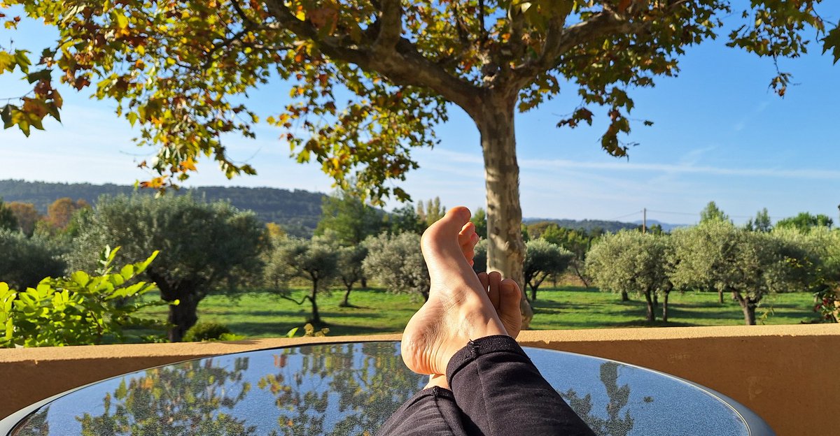 Tagada41's tweet photo. Du calme du soleil des oliviers ... 
#quipeutmapporteruncafe https://t.co/Gj7YogDGUk