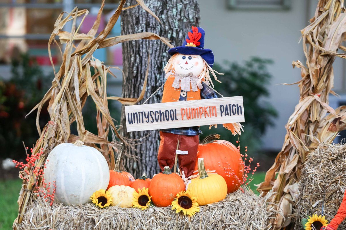 UnityDelray's tweet image. 🎃 Our Preschoolers had an unforgettable morning picking their favorite pumpkins at the Unity School Pumpkin Patch! A huge shoutout to our amazing parents for creating this beautiful, fun-filled experience, led by the talented @cglicks. 🍂💛 #UnitySchoolFL #PumpkinPatchFun