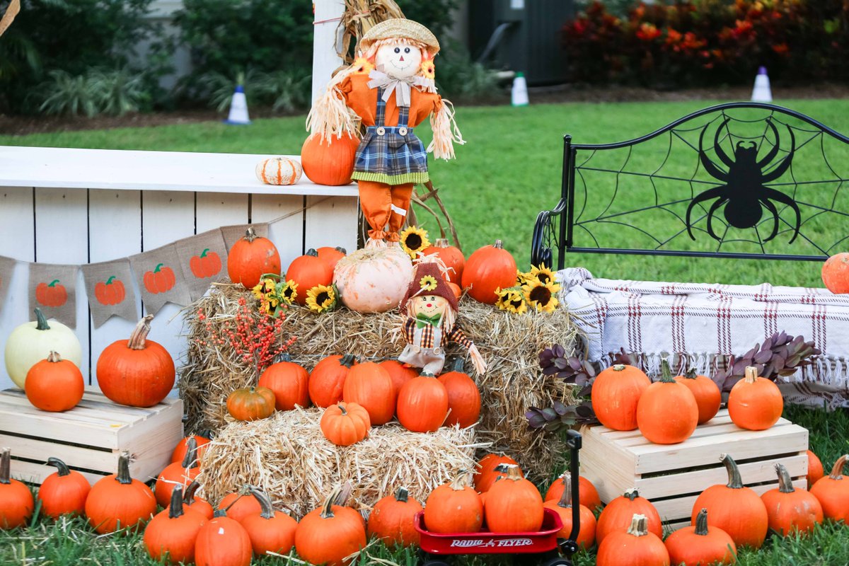 UnityDelray's tweet image. 🎃 Our Preschoolers had an unforgettable morning picking their favorite pumpkins at the Unity School Pumpkin Patch! A huge shoutout to our amazing parents for creating this beautiful, fun-filled experience, led by the talented @cglicks. 🍂💛 #UnitySchoolFL #PumpkinPatchFun