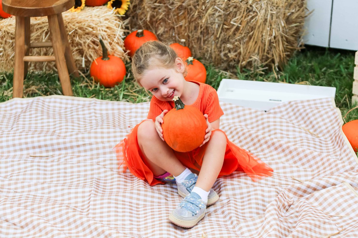 UnityDelray's tweet image. 🎃 Our Preschoolers had an unforgettable morning picking their favorite pumpkins at the Unity School Pumpkin Patch! A huge shoutout to our amazing parents for creating this beautiful, fun-filled experience, led by the talented @cglicks. 🍂💛 #UnitySchoolFL #PumpkinPatchFun
