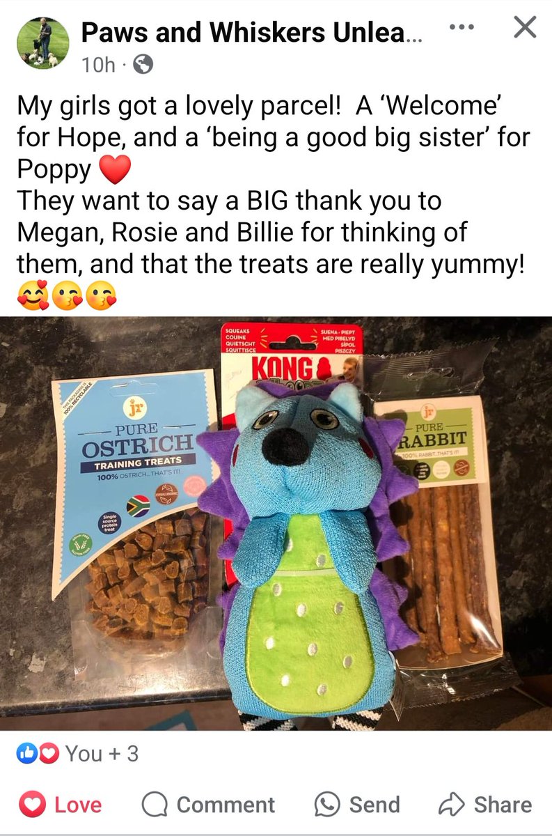 JOGREEN26's tweet photo. Thank you so much @bemorebob2 for sending this gift to our newly adopted rescue friend and for the 'pay it forward' present too ❤️❤️❤️ https://t.co/vN1V2GSQBp